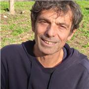 Laureato in lettere e filosofia offre ripetizioni di italiano, storia, filosofia